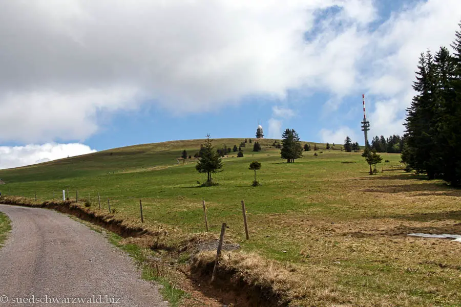 Wanderweg von Notschrei zum Feldberg