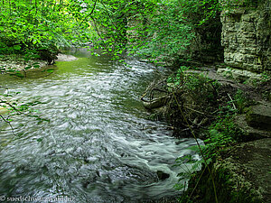 Wasseraustritt der Wutach aus der Muschelkalkwand