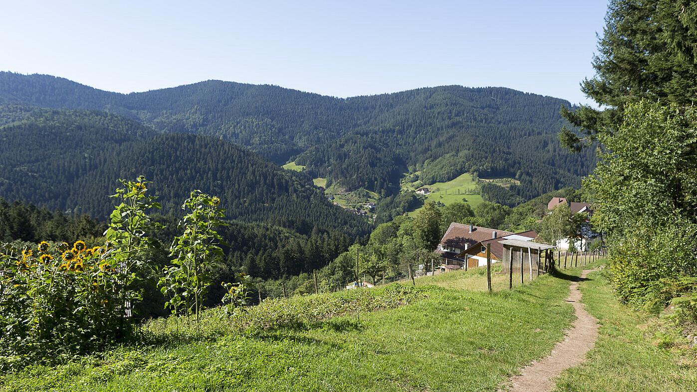 Wanderweg Himmelssteig