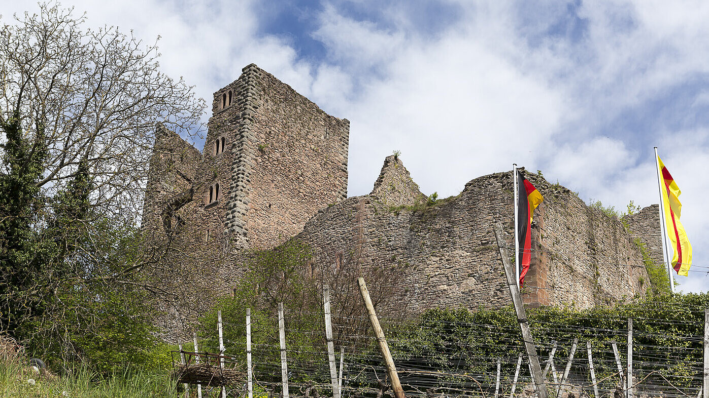 Ruine Schauenburg