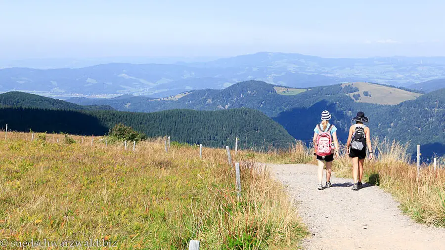 Aussicht beim Feldberg-Gipfel