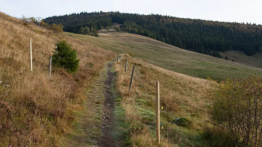 Genießerpfad Bernauer Hochtalsteig