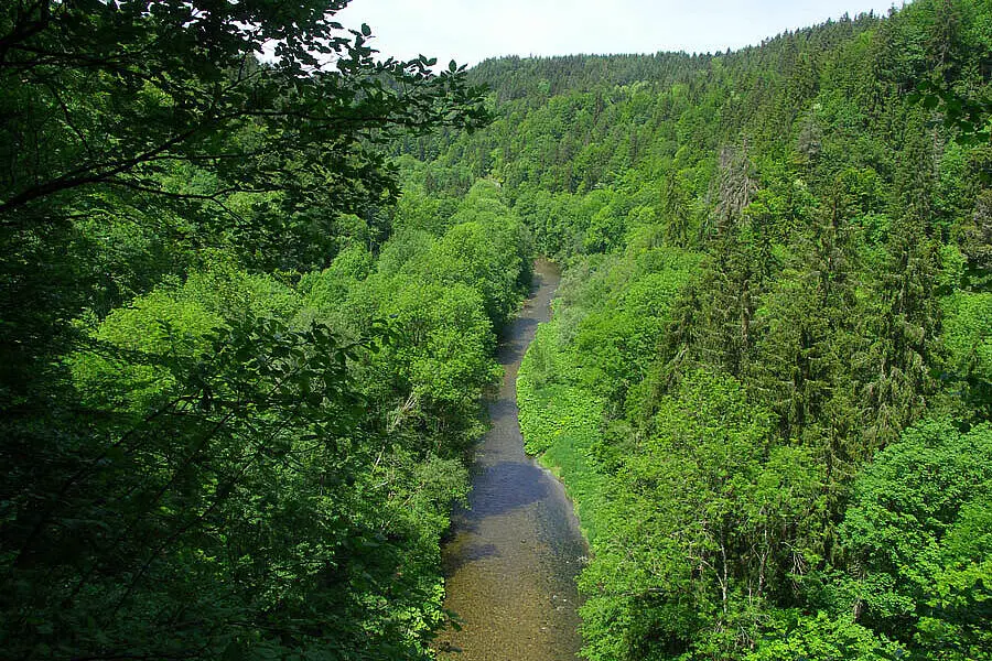 Die Wutachschlucht im Wutachgebiet