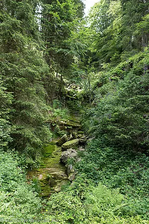 trocken gefallener Tobelbach-Wasserfall