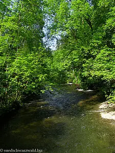 Gauchachmündung in die Wutach