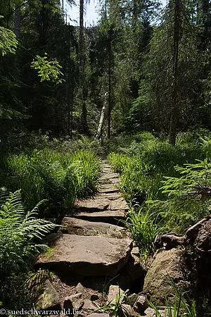 Wanderweg zwischen Huzenbacher See und Dachsbau