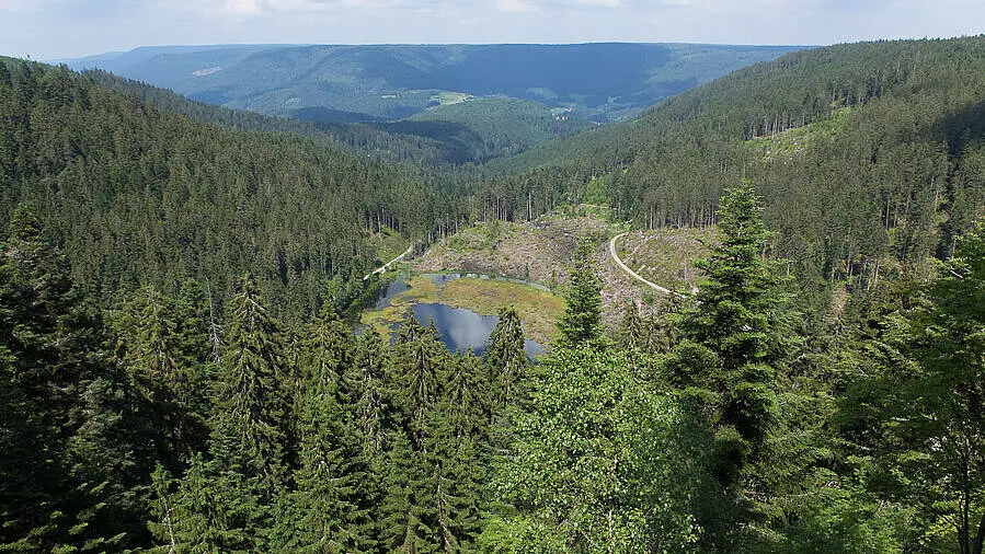 Aussicht vom Huzenbacher Seeblick