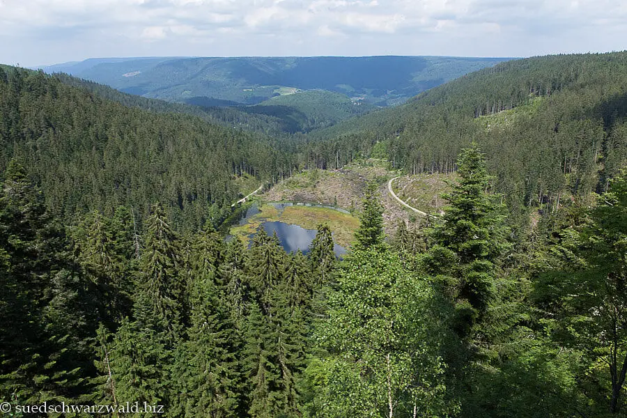 Aussicht vom Huzenbacher Seeblick