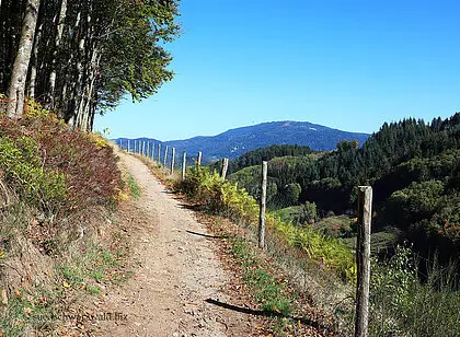 Lautenbacher Hexensteig und Sohlberg