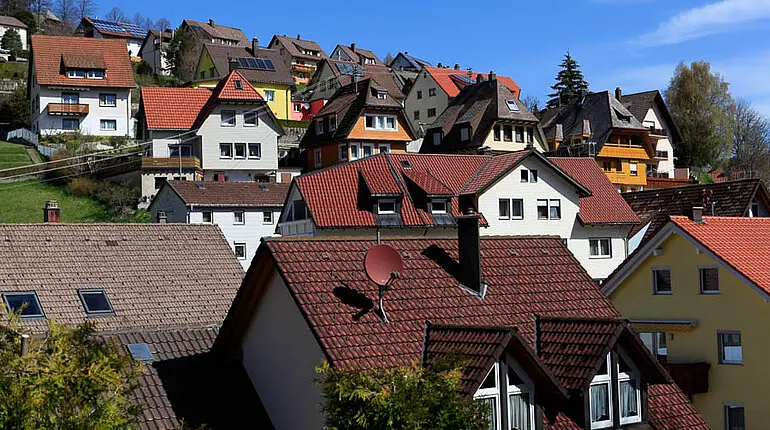 Blick über die Dächer von Gütenbach