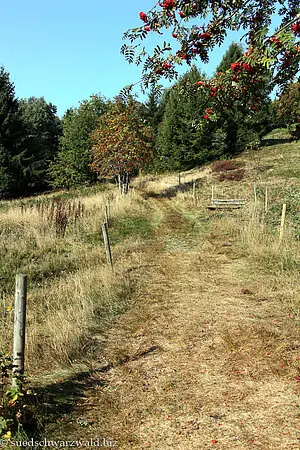 Herbstidylle nahe Holzinshaus