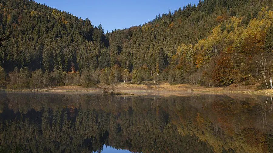 Wanderung Sankenbachsteig