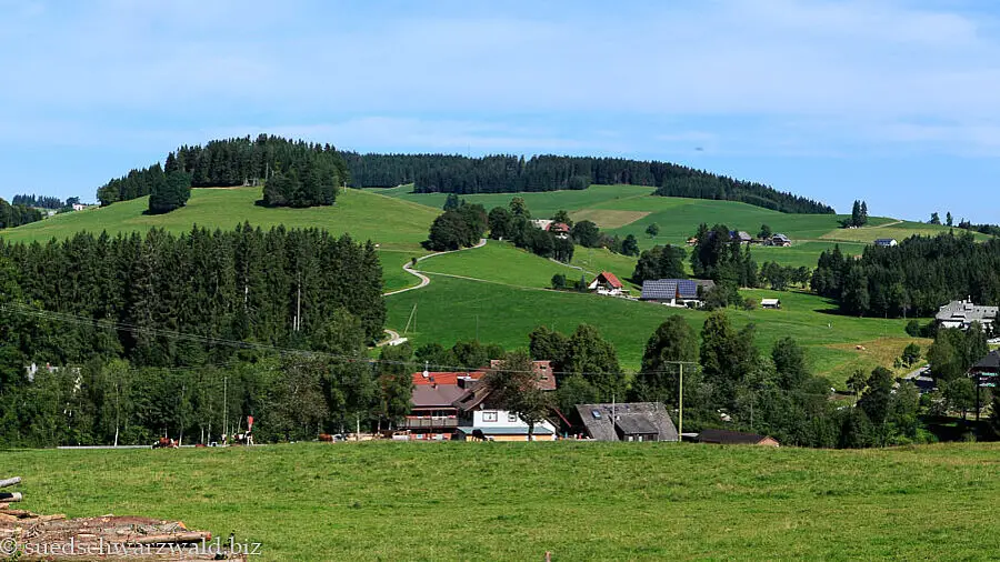 Blick über die Hochfläche von Breitnau