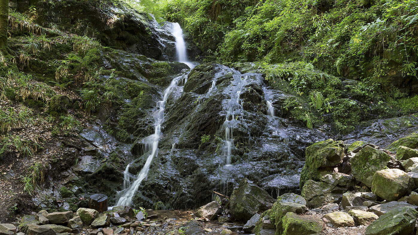 Holchenwasserfall Bad Peterstal