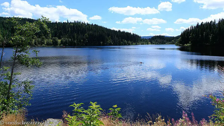 Blick über den Windgfällweiher