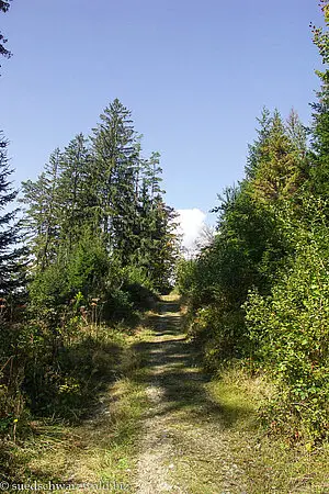 Wanderweg zwischen Bildsteinfelsen und Schluchsee