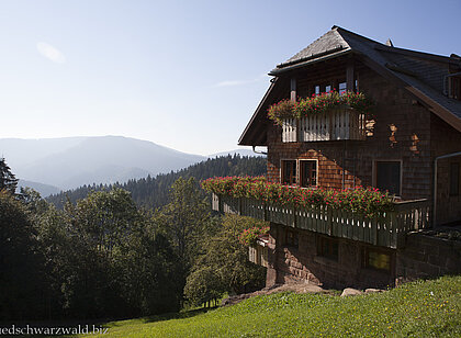 Wanderung auf dem Wiesensteig