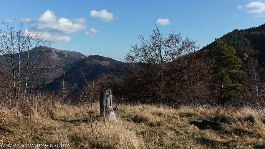 Aussicht von der Kälbelescheuer zum Belchen