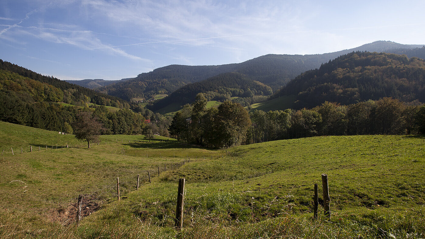 Premiumwanderweg Wiesensteig