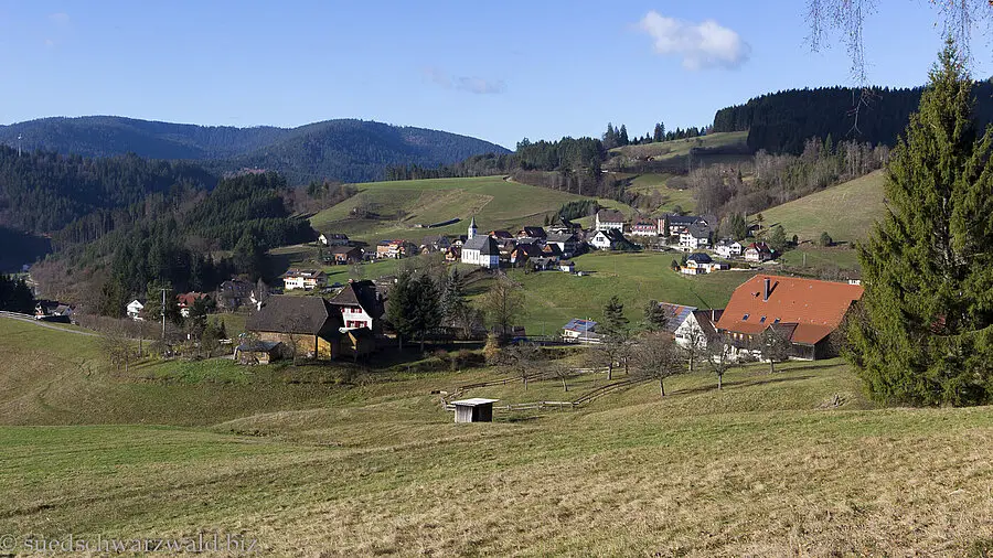 Aussicht vom Baiersbronner Panoramasteig