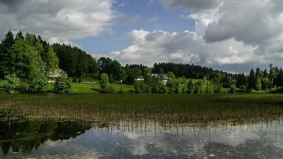 Blick über den Klosterweiher bzw. Horbacher See