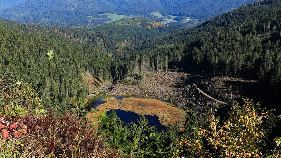 Huzenbacher See | Baiersbronner Seensteig