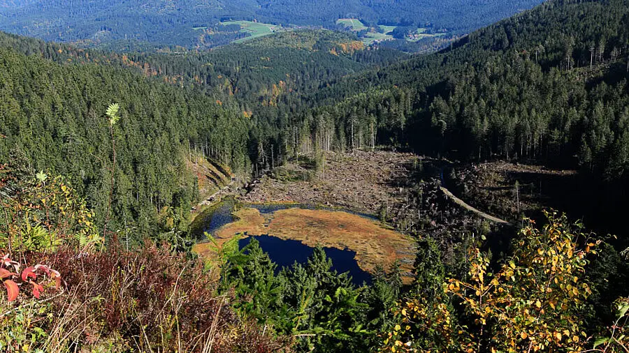 Huzenbacher Seeblick